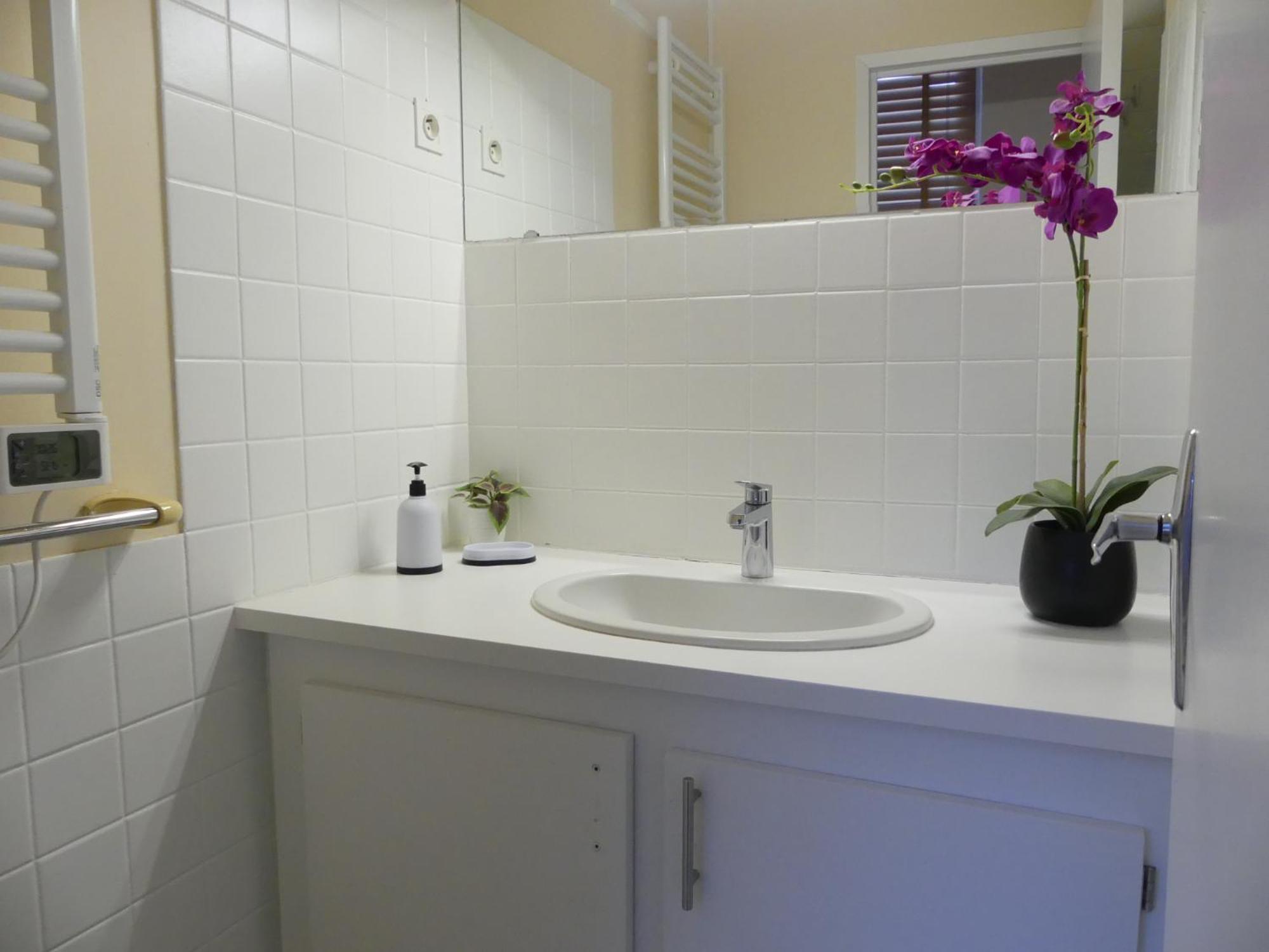 Châtel-Guyon Le Puy De Dome - 1 Chambre - Clim מראה חיצוני תמונה