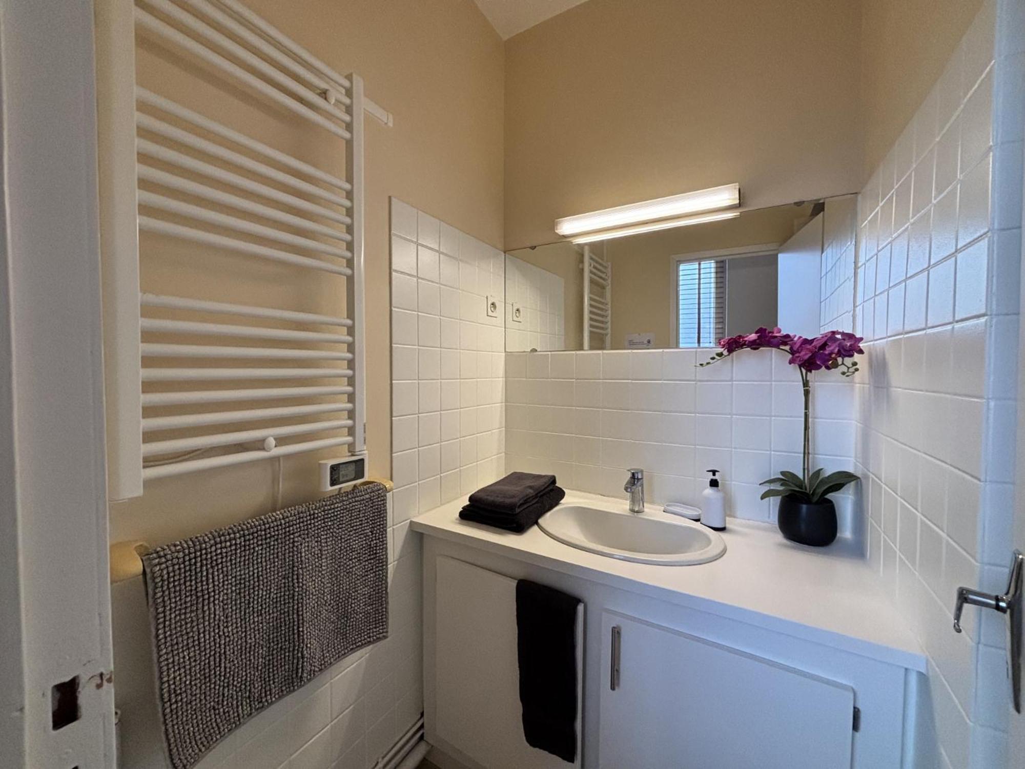 Châtel-Guyon Le Puy De Dome - 1 Chambre - Clim מראה חיצוני תמונה